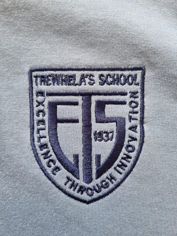 Polera Celeste Insignia Manga Corta